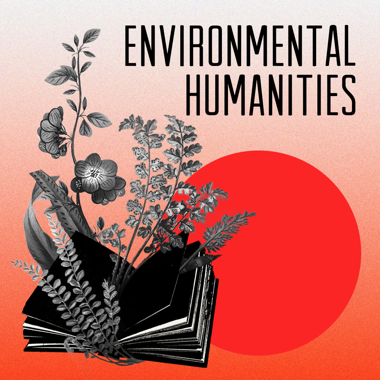 Environmental Humanities