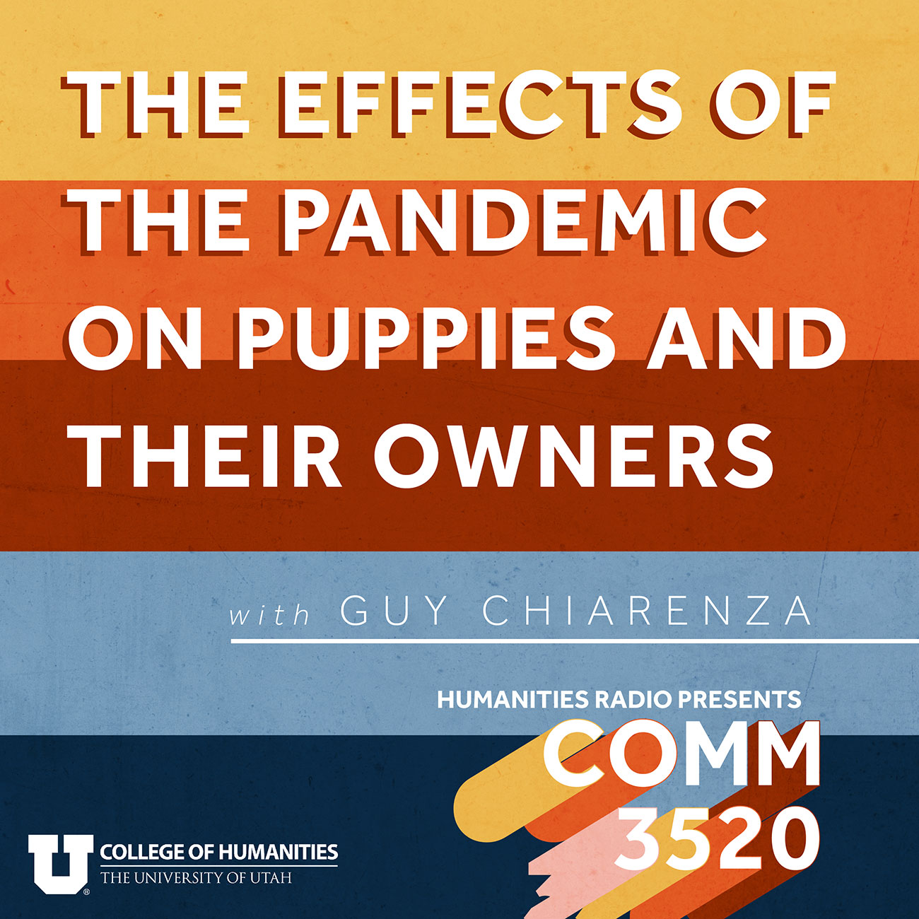 The Effects of the Pandemic on Puppies and Their Owners