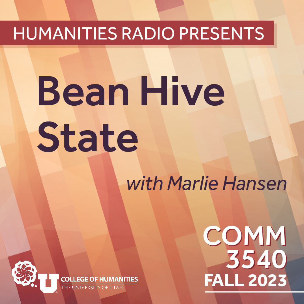 Comm 3540: Bean Hive State