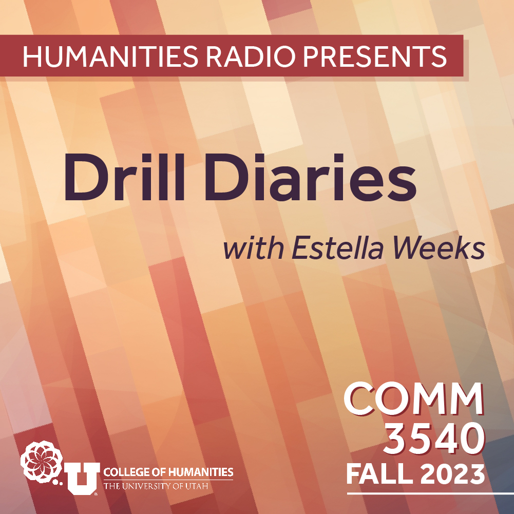Comm 3540: Drill Diaries