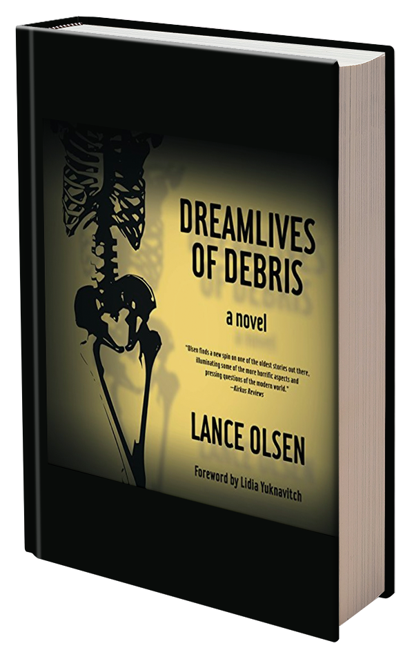 Dreamlives of Debris by Lance Olsen