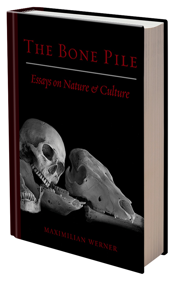 The Bone Pile by Maximilian Werner
