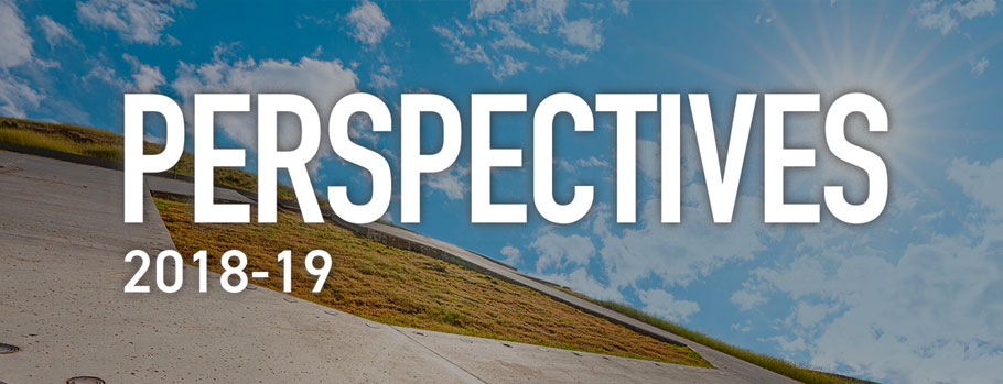 Perspectives 2018-2019